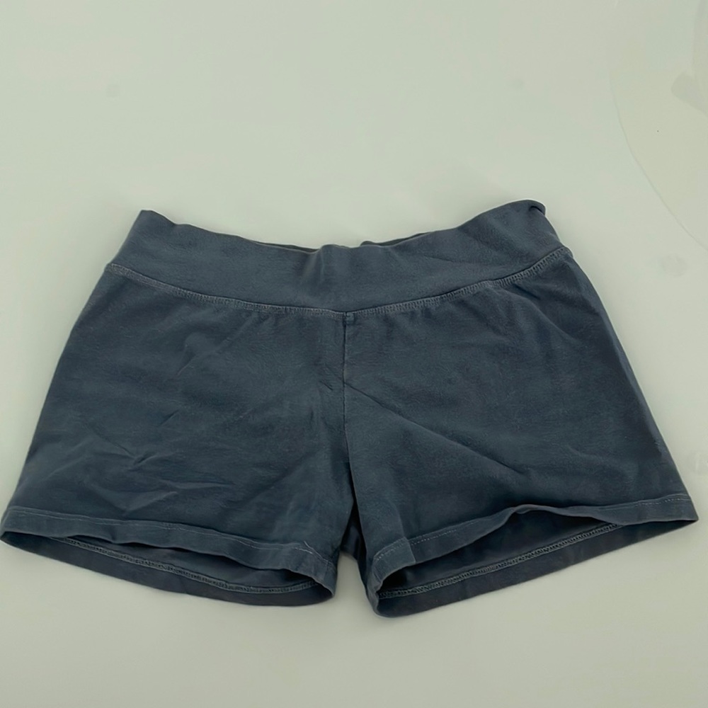 Brandy Melville Light Blue Shorts